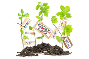 How to Eat Ethically and Sustainably