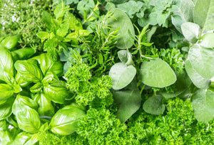 organic-fresh-herbs