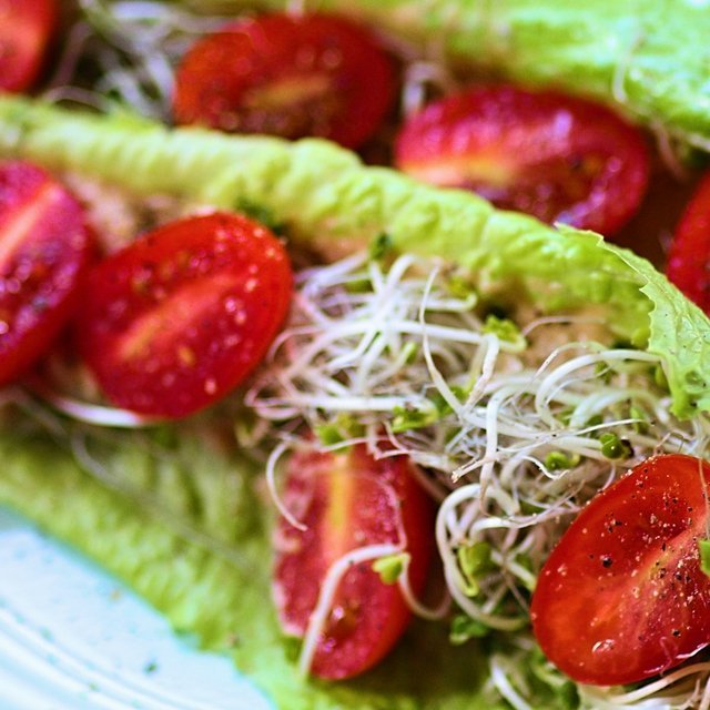 Cos Lettuce Wrap