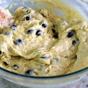 Blueberry Banana Mash