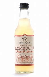 Kombucha - Peach & Apricot by Herbs of Life 330ml