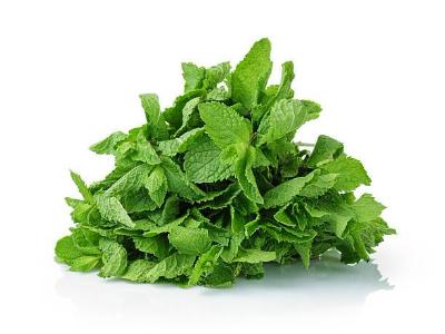 Fresh Herbs - Mint