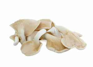 organic-oyster-mushrooms