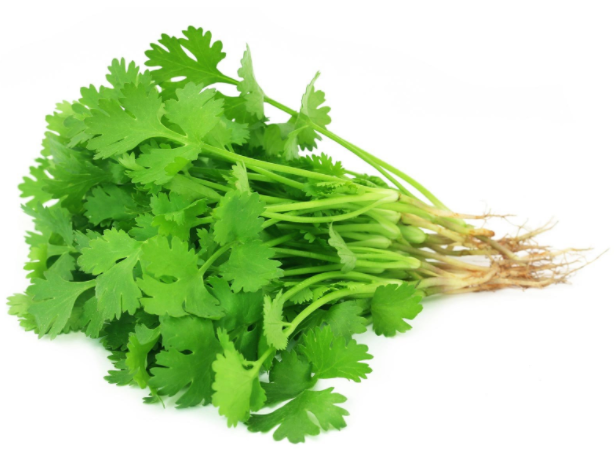 Fresh Herbs - Coriander