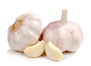 organic-purple-garlic