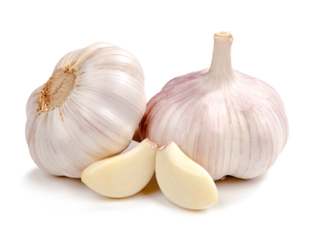 Garlic Purple White - Limited