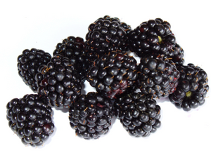 organic-blackberries