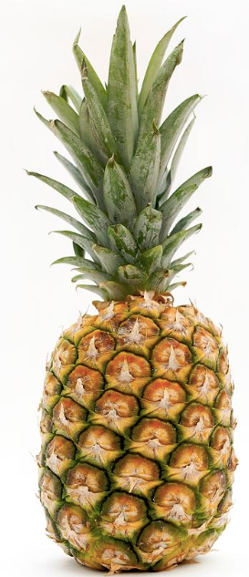 organic-pineapple