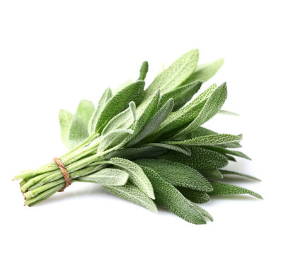 Fresh Herbs - Sage