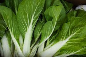 organic-boc-choy