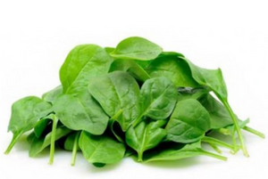 Salad - Baby Spinach 100g