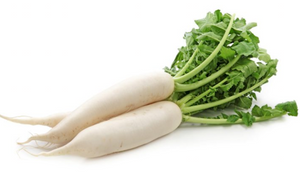 Radish - Daikon Bunch